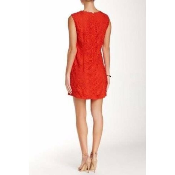 Cynthia Steffe 'Rayna' Sleeveless Lace Shift Dress - Picture 3 of 5